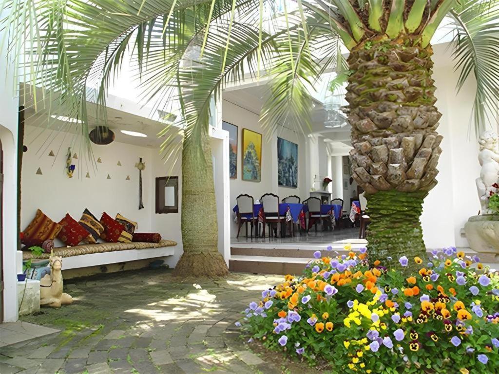 Arabian Art Hotel & Gallery 御宿町 外观 照片
